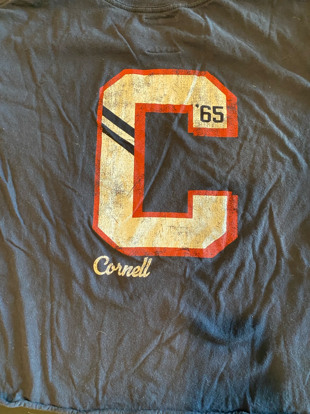Cornell vintage-inspired long sleeve women’s Tee, sz L